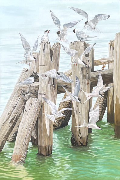 Craig Platt nz bird art, Torpedo Bay Wharf, oil on canvas